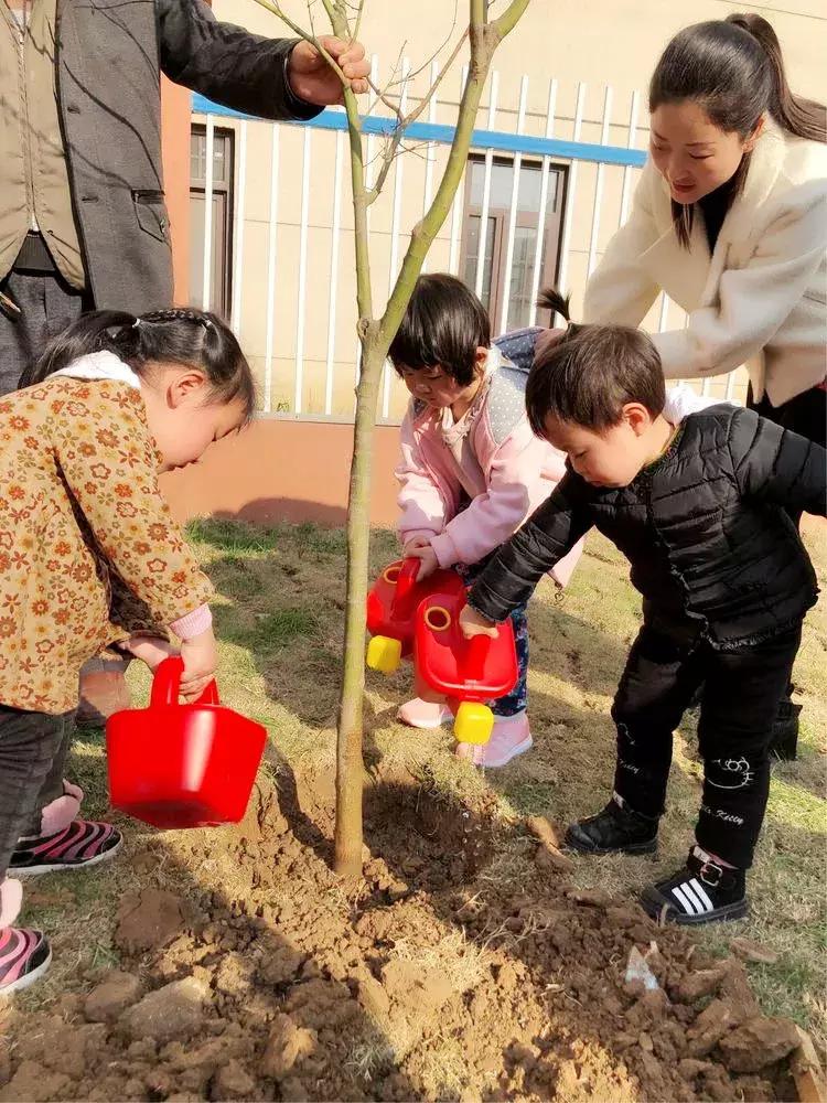 拥抱春天播种绿色植树节广播稿,拥抱春天播种绿色活动