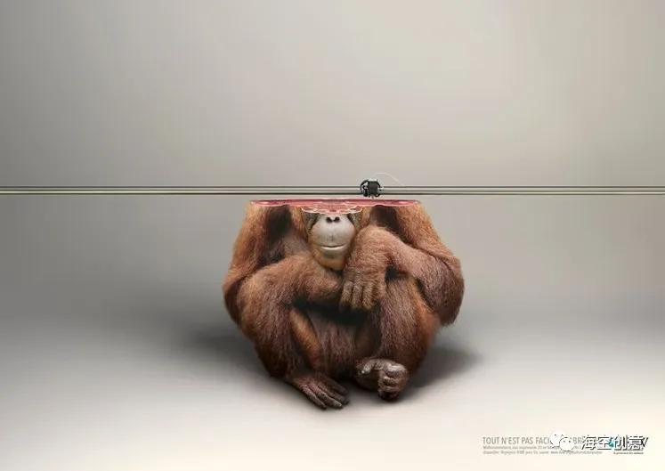 知名的海洋平面设计,国外最新的平面设计