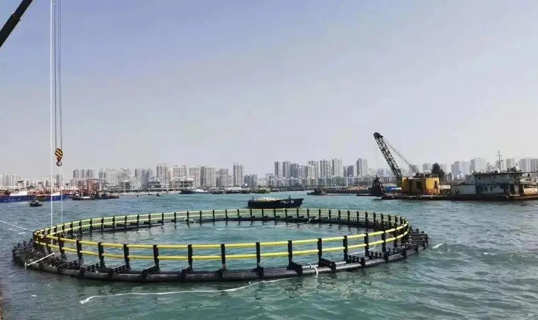 第一届T11“好物营九大爆款”正式出道，请你来打call