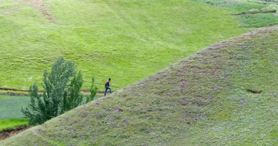 他跟5个西北爷们同吃同睡2年，记录黄河边的绝唱，口碑爆棚