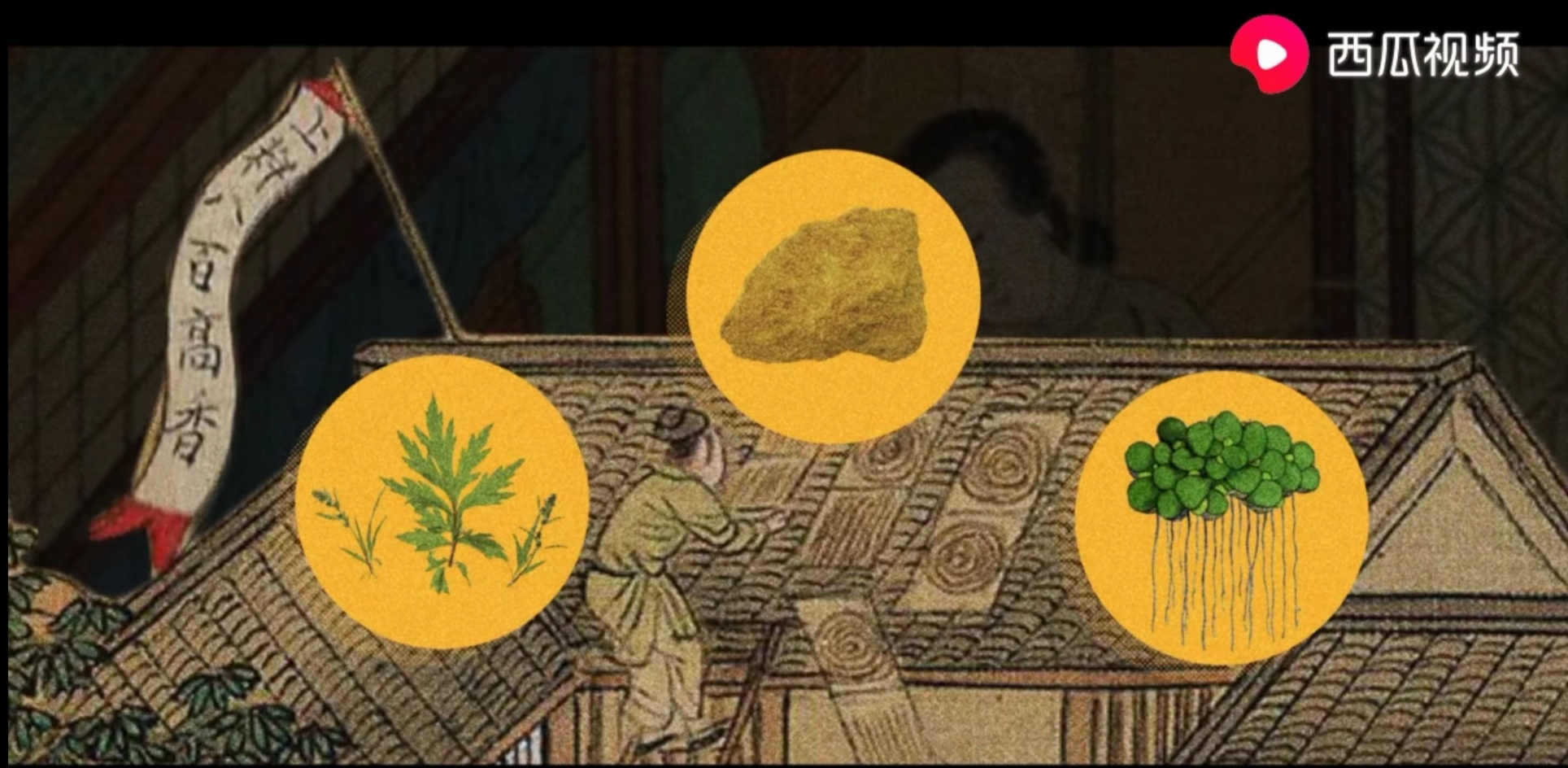 一场陷入僵局的战争，西瓜视频为你讲述人蚊间的血泪斗争史