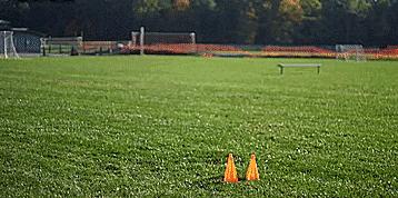 一招教你破防守紧逼,教你一招摆脱防守连招