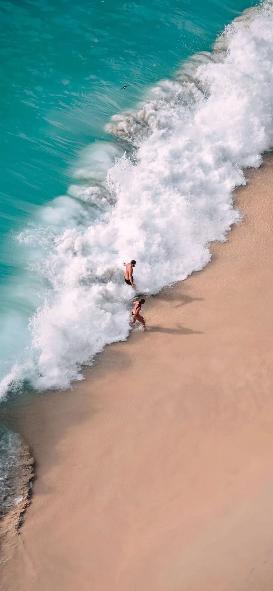 壁纸不要寄希望于别人多看自己,壁纸接受事与愿违