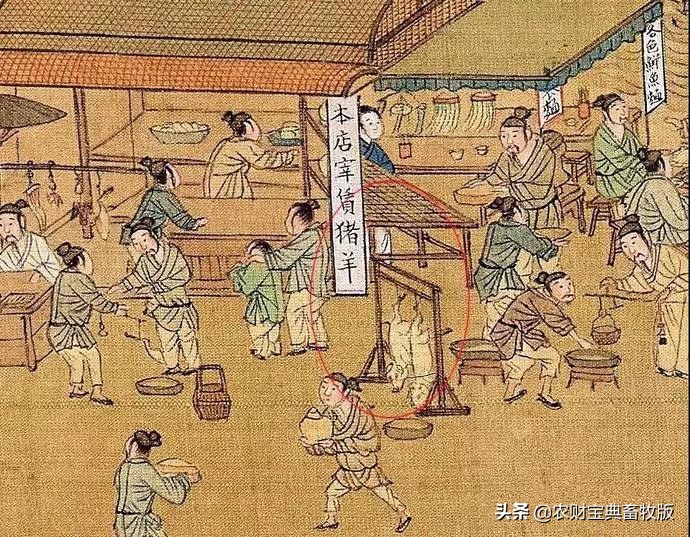 教你如何画猪,来一个画猪教程