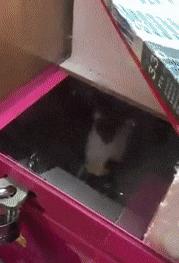 只能亮度调亮才能看得懂的梗,调高亮度才能看懂的梗