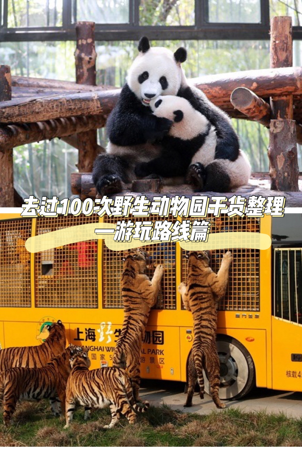 去过了100次上海野生动物园，干货整理游玩路线，建议收藏