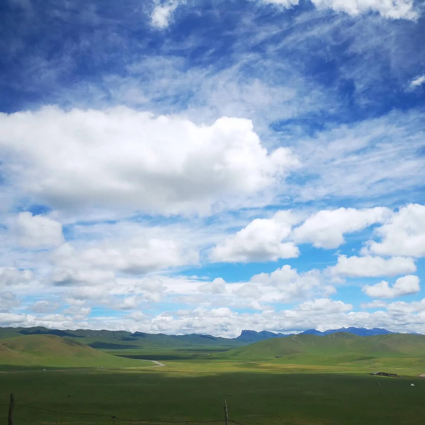 六月中的若尔盖大草原