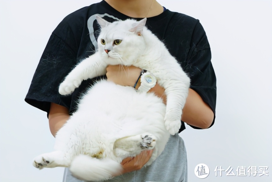 美的colmo星辰洗衣机洗烘套装,colmo星辰洗烘一体机测评