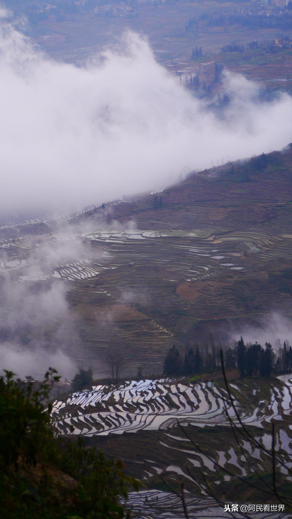 云南普者黑元阳坝美6天旅游攻略,云南建水普者黑旅游路线