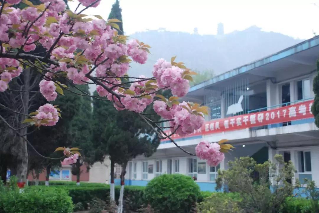 韩城市象山中学杨腾云,韩城市象山中学官网