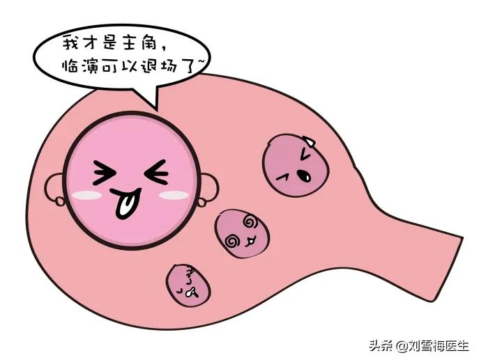 怎么可以取得卵子,如何获得卵子