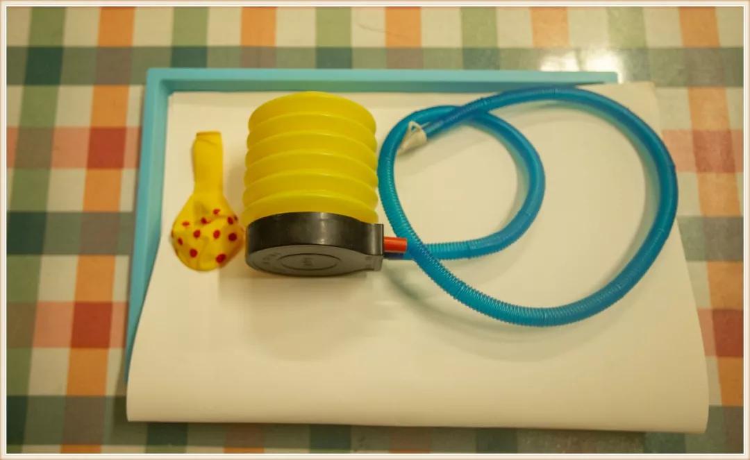 幼儿园大班地球小卫士环境创设,大班神奇的大自然环境创设