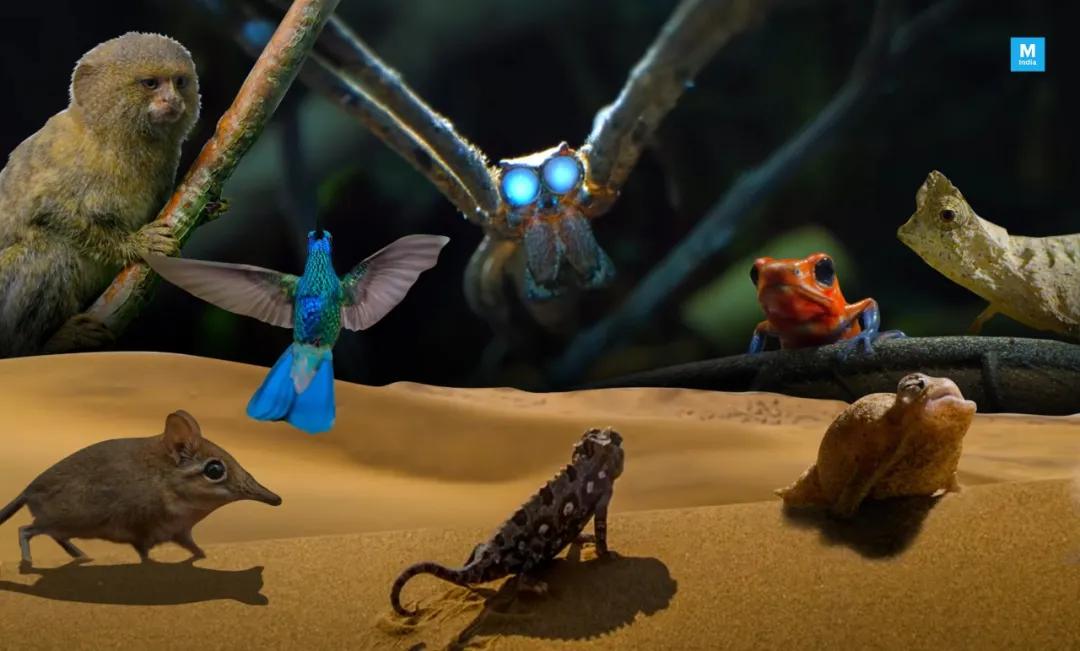 曼达洛人回归,Netflix发大招...10月流媒体极客片单