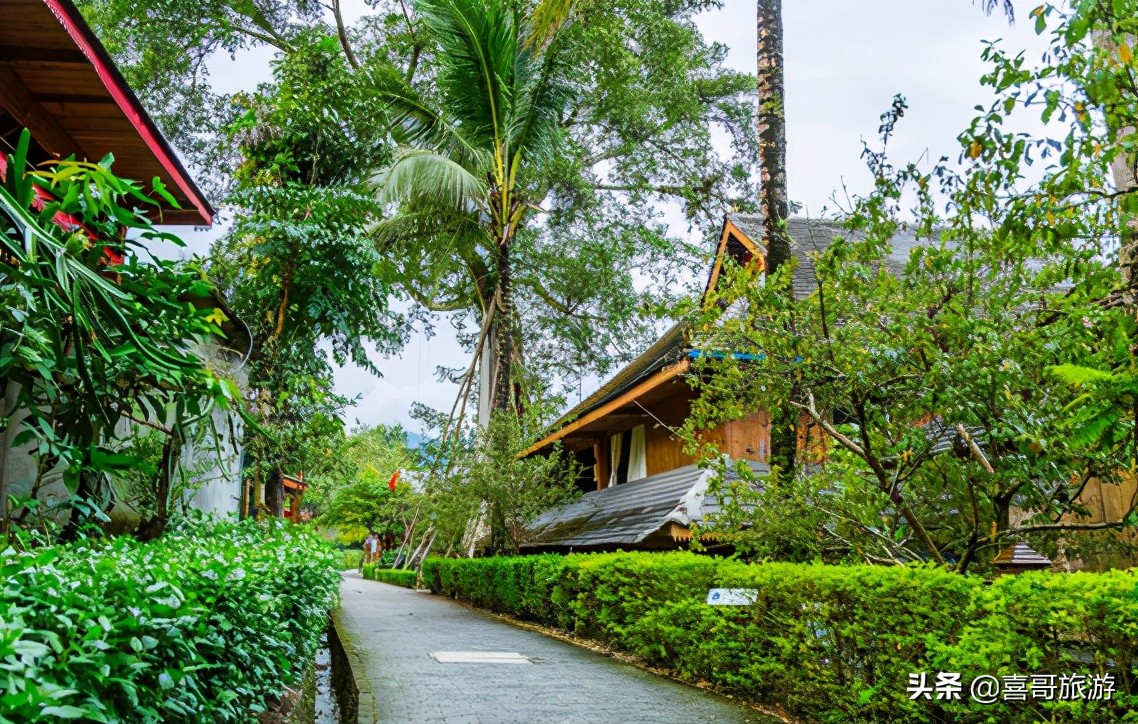 西双版纳傣族自治州旅游攻略路线,西双版纳傣族自治州勐腊县自驾游