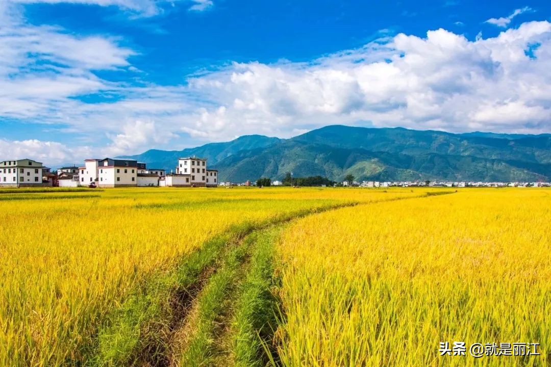 丽江是个怎样的地方,丽江是一个浪漫的城市