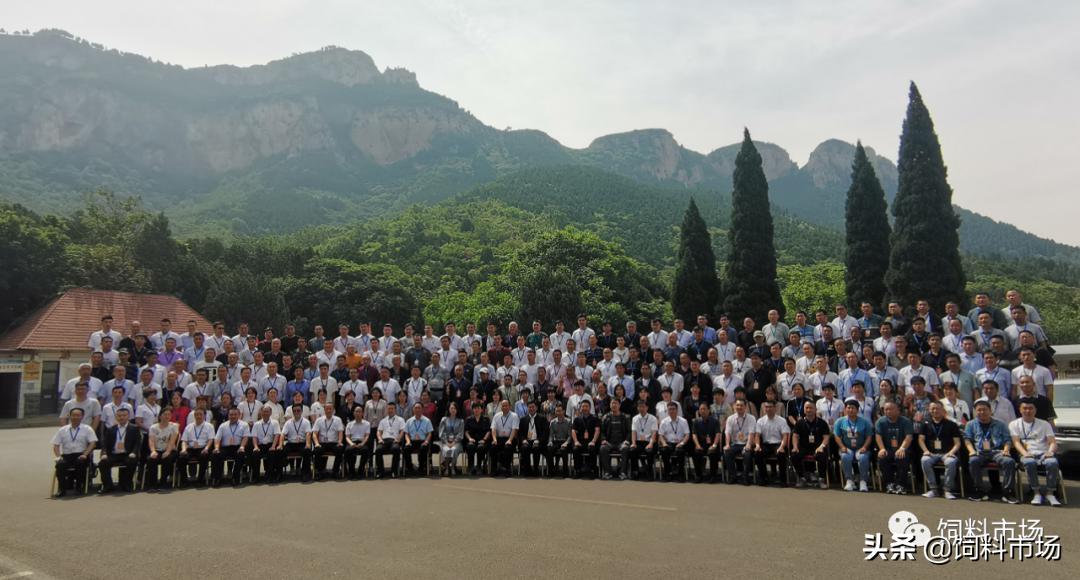 山东活力集团,长清区活力集团