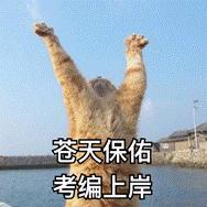 特岗教师工资上涨吗,特岗教师工资为什么比正式高