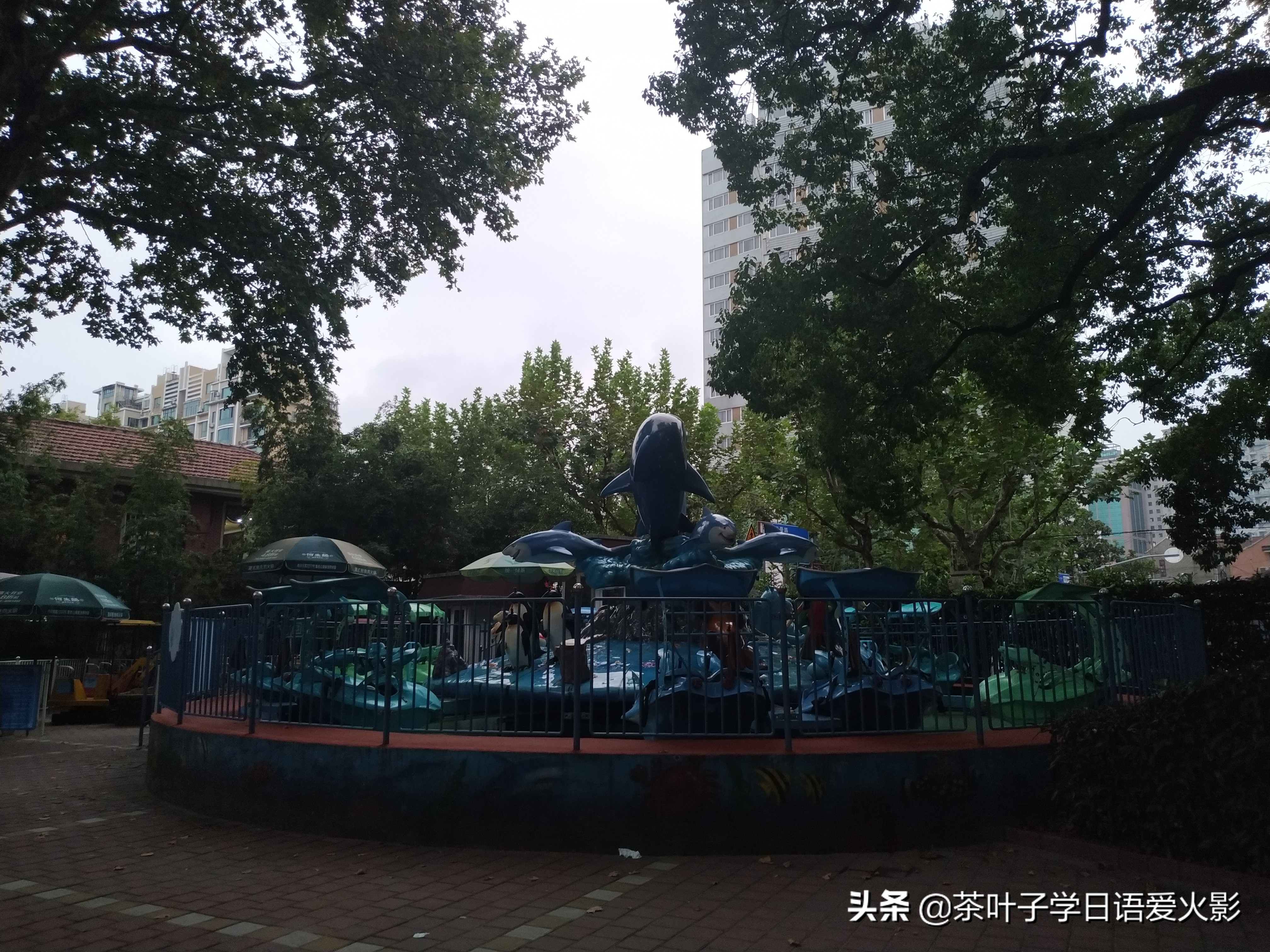 上海甜爱路，打卡不要错过哦，还有鲁迅公园