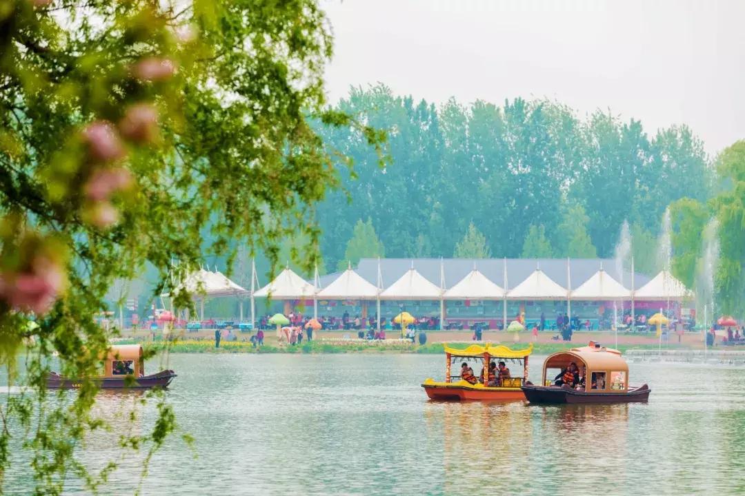 北京菊花花海,北京赏花好去处国际花港