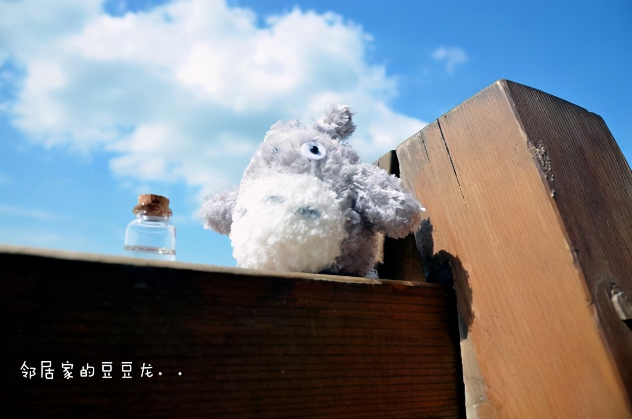 不搬弄是非的人,性格很坦荡不愿意耍手段的星座