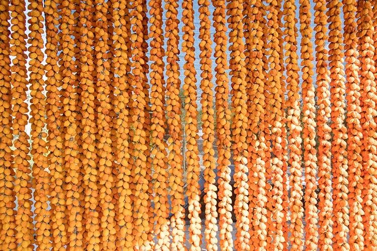 正宗的富平柿饼知识普及，记得收藏