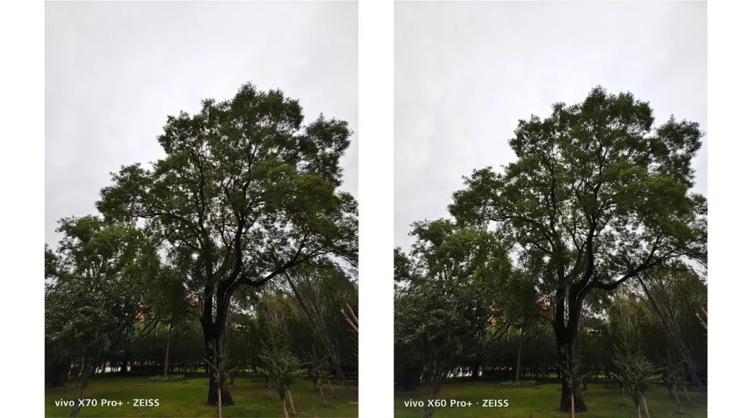 vivox70pro旧手机,全新vivox70pro