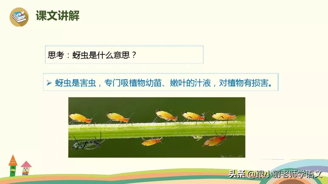 二年级我要的是葫芦的寓意是什么,二年级我要的是葫芦说明什么道理