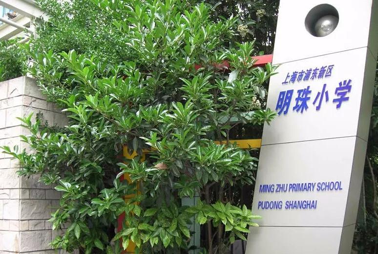 浦东中考竞争多激烈,浦东升学竞争激烈