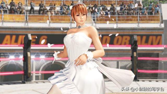 生死格斗6不知火舞空中连招,生死格斗6角色解锁