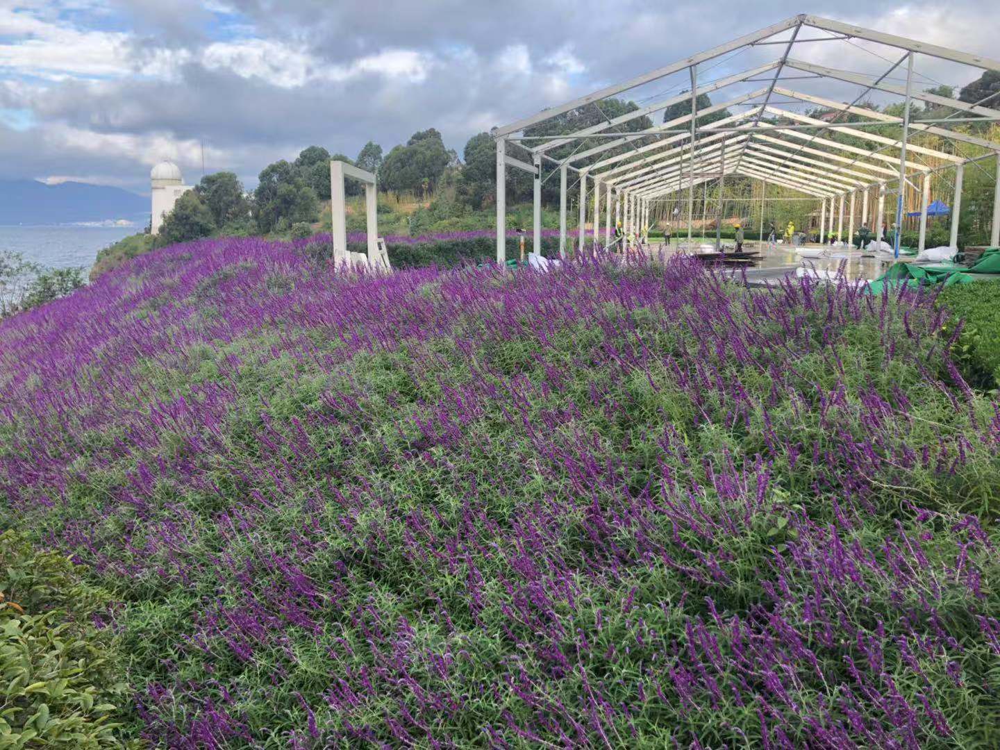 抚仙湖的浪漫,美丽的地方抚仙湖