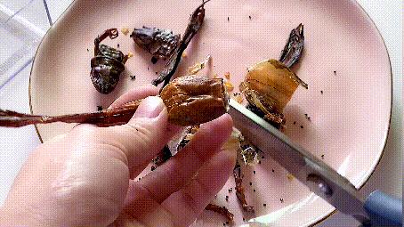 150元买一斤雪蛤,雪蛤20克整只