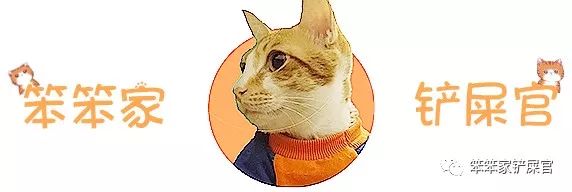 自制猫粮为什么软便,猫咪吃猫粮好还是自制的好