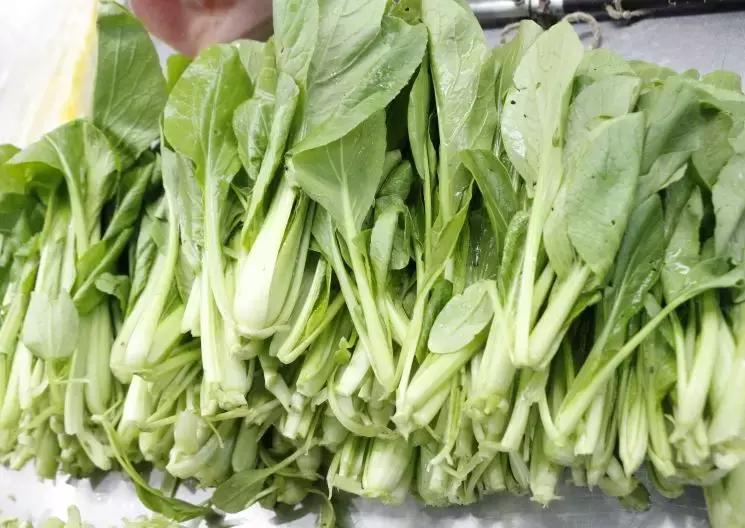 合肥菜价查询最新蔬菜价格表,今日菜价安徽合肥