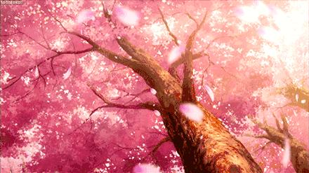 日本永驻厚生年金退吗,日本的厚生年金是怎么回事