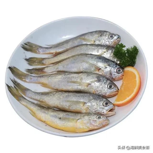 哪种海鱼最好养又便宜又好吃,便宜耐养的海鱼有哪些种类