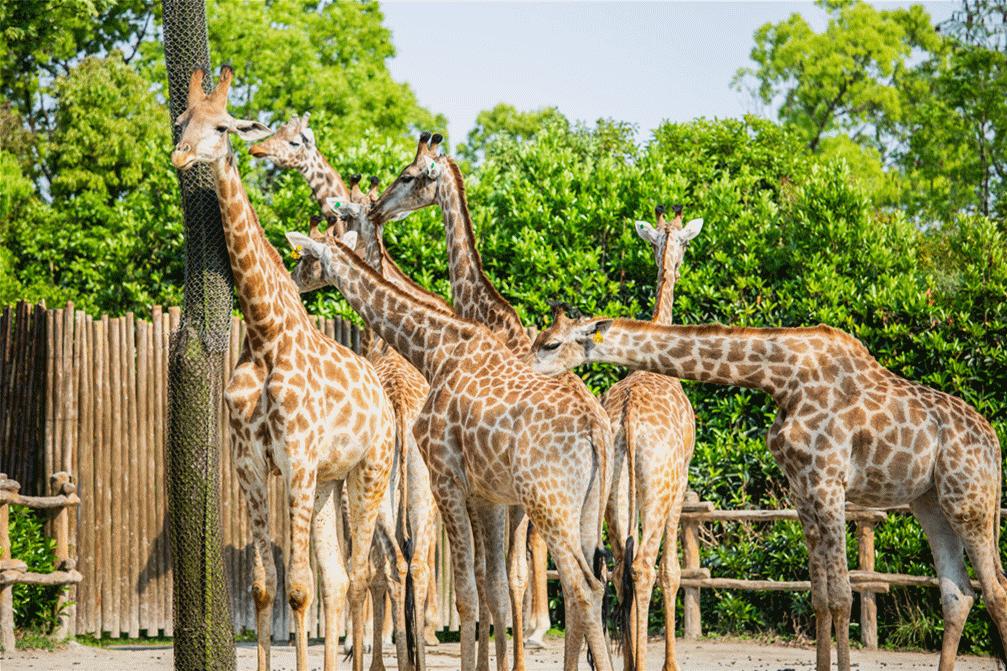 福州身价超过10亿富豪,2020年福建福州上亿元富豪有多少