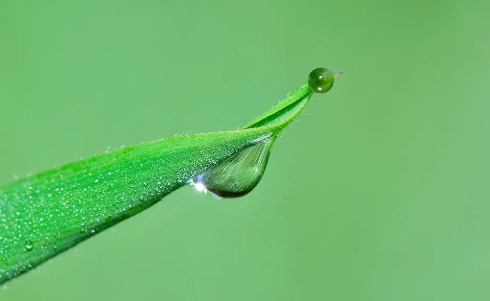 春分从穴位上如何养生,二十四节气养生之春分养生