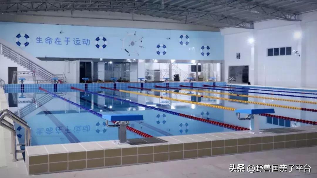 东莞哪里适合小孩子游泳冬天,暑假最适合学习游泳的地方