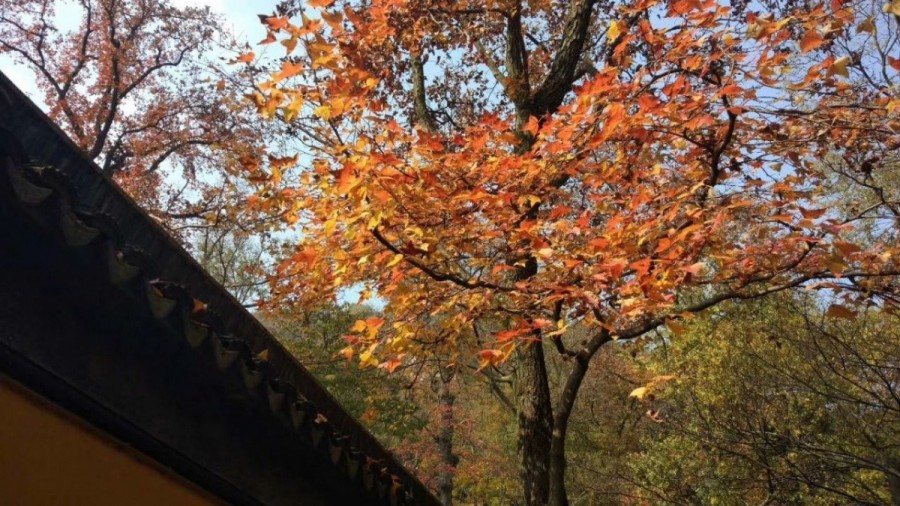 苏州木渎古镇美景图片,姑苏木渎古镇美景