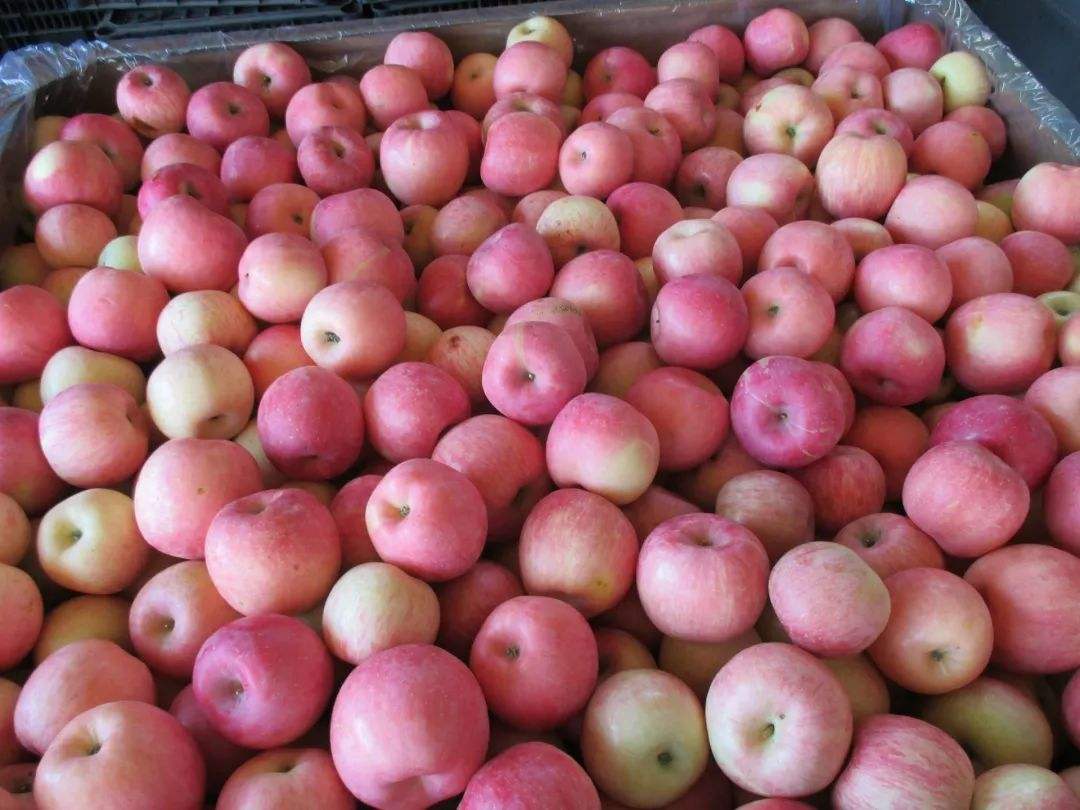 “一天一苹果，医生远离我”，可苹果皮上有蜡，削了之后才能吃？