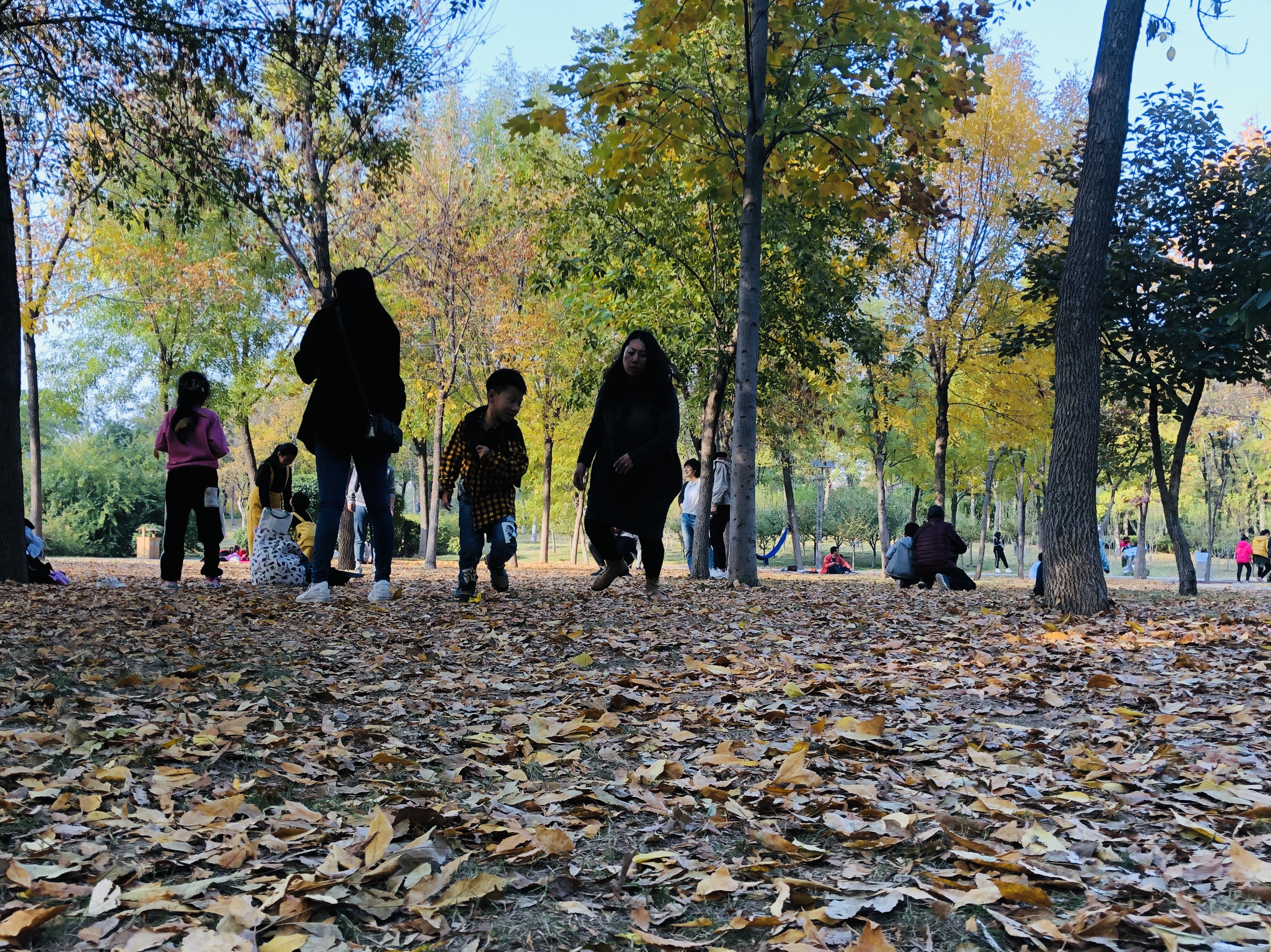 雨后的济南森林公园美景让人陶醉,济南森林公园美成“童话”