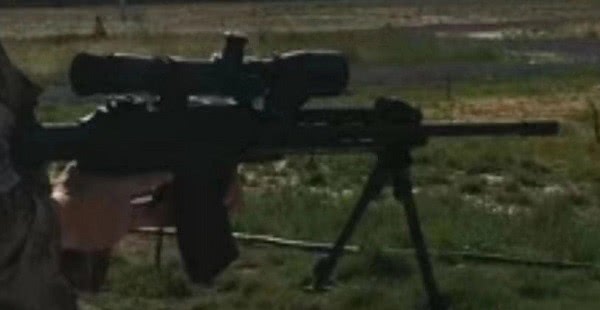 国内装备的精确射手步枪,中国下一代精确射手步枪