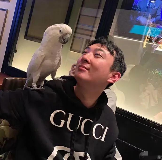 王思聪最近几年低调,王思聪过得快乐么