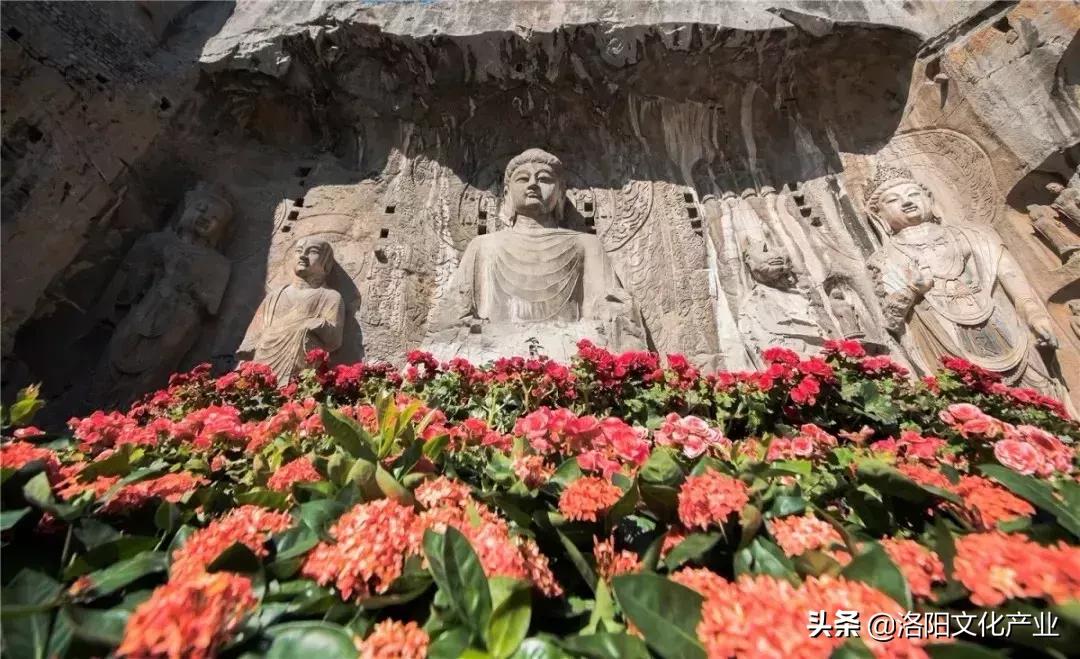 洛阳旅游年票包含牡丹节吗,洛阳牡丹文化节几号开始收门票