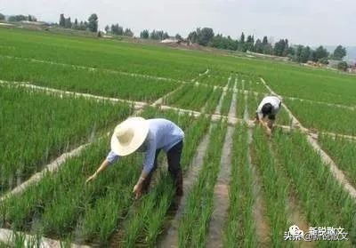 十年了没有做过一顿饭,十年没有做过一次饭