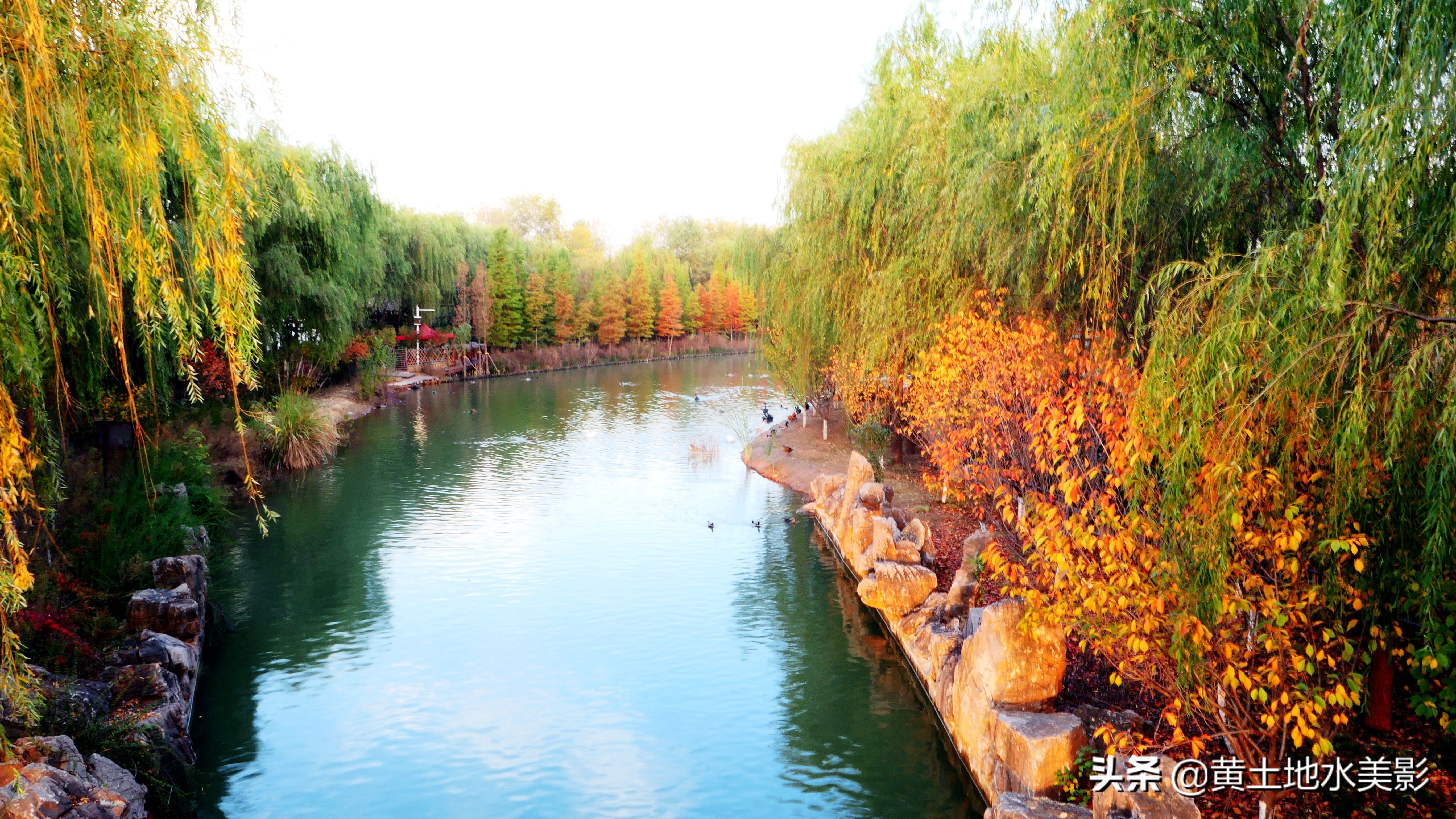 占地590亩的湿地公园,野生动物比较多的旅游景区