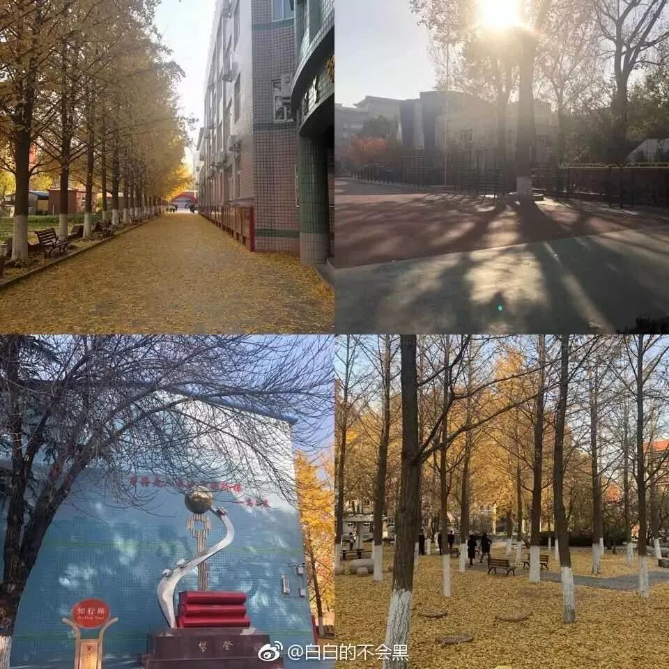 鑲茶嫳瀛︽牎鏃ュ父,鑲茶嫳瀛︽牎鍥炲繂