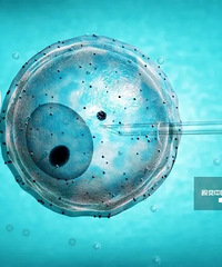 艰难备孕成功分享经验与方法,备孕成功经验