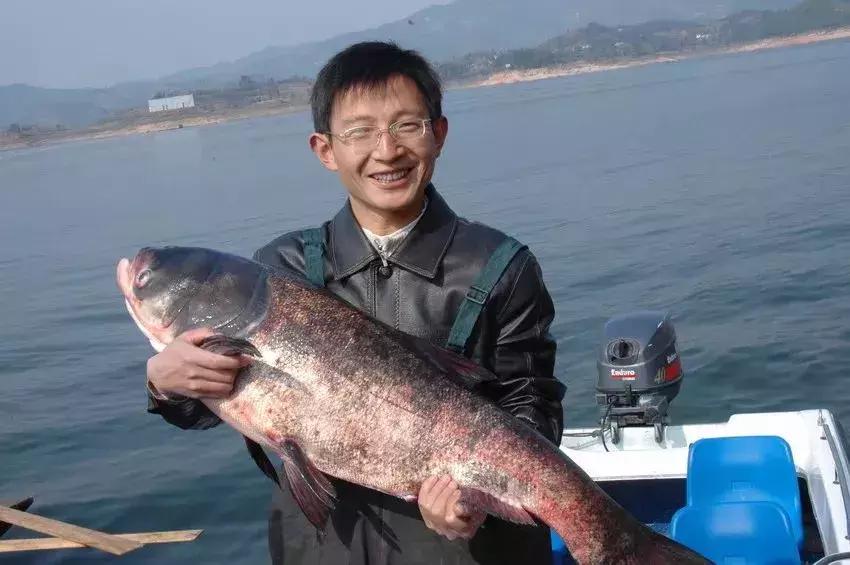 安徽太湖中秋特产有哪些,浙江太湖古镇特产必买清单