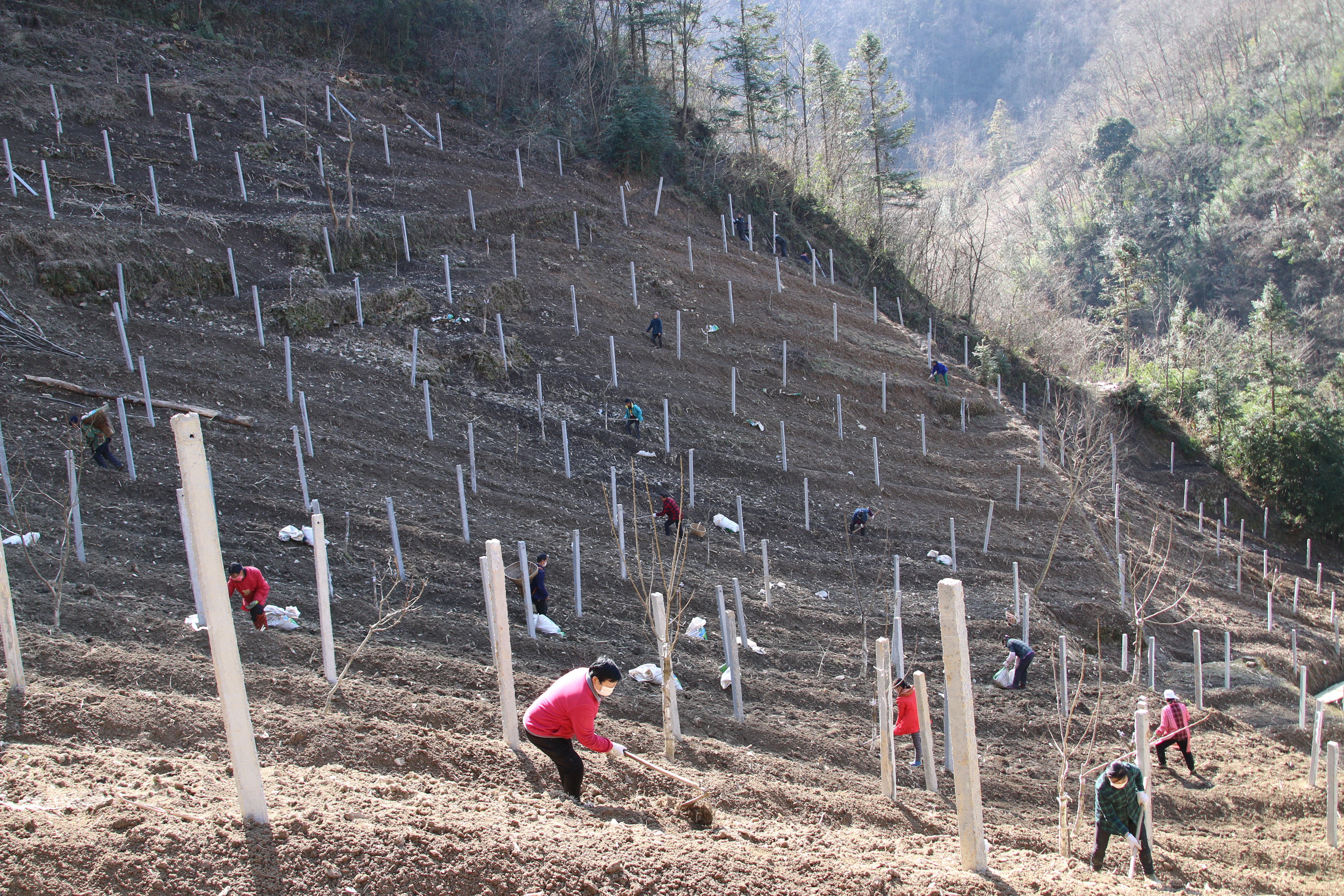 扶贫助困须用心用力用情,产业扶贫助民富精准扶贫暖民心